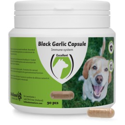 Black Garlic capsule Hond