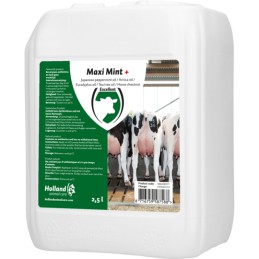 Maxi Mint uiermint 2.5 liter