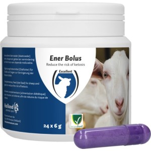 Ener Bolus Schaap & Geit Excellent