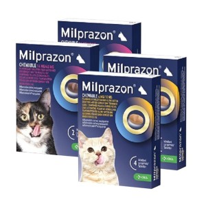 Milprazon worm kauwtabletten katten 2 tabletten