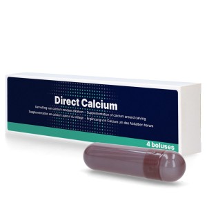 Direct Calcium Bolus 4 stuks