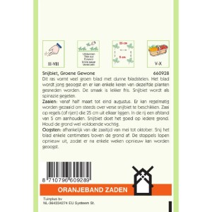 Snijbiet Groene Gewone