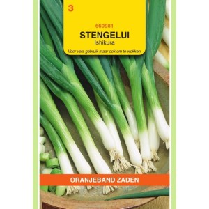 Stengelui Ishikura