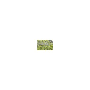 Micro sproeier 360°
