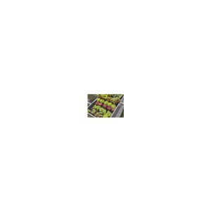 Afsluitdop 4,6 mm (3/16")