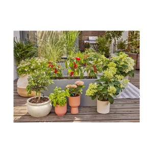 Micro-Drip-Bewatering Terras Set 30 planten
