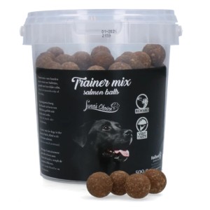Trainermix Zalmballetjes (glutenvrij)