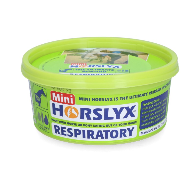 Horslyx Mini Luchtwegen 650gr