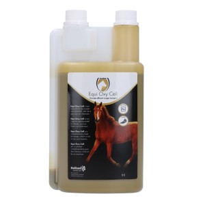 Excellent horse Oxy Cell
