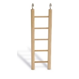 BZ Houten ladder met 5...