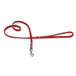 Hondenriem geniet rood 100cm x 10mm