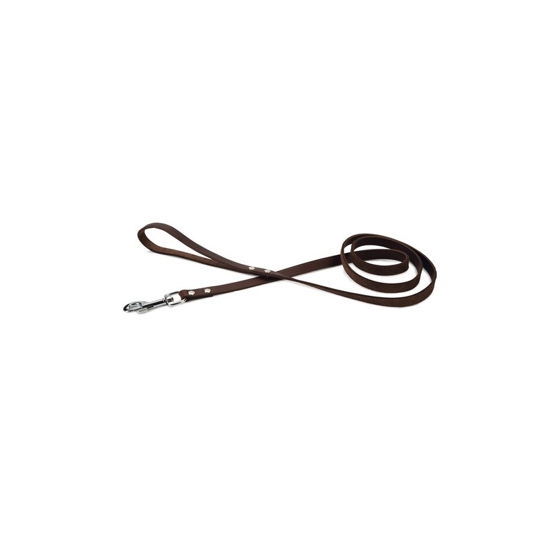 Hondenriem geniet bruin 165cm X 16mm