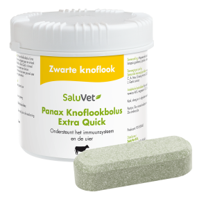 Panax Knoflookbolus EXTRA Quick 6 stuks
