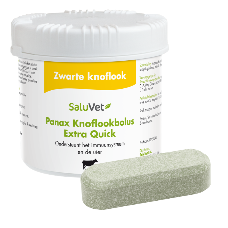 Panax Knoflookbolus EXTRA Quick 6 stuks