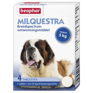 Milquestra hond 4 tabletten Rund