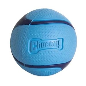 Chuckit Sniff Fetch Ball M met bacongeur