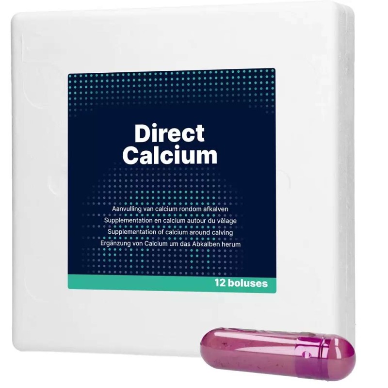 Direct Calcium Bolus 12 stuks