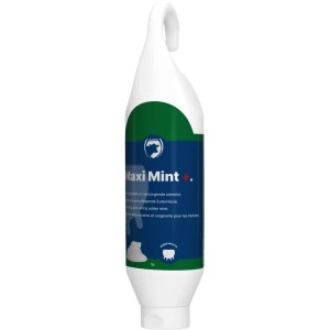 Maxi Mint Plus 1 liter