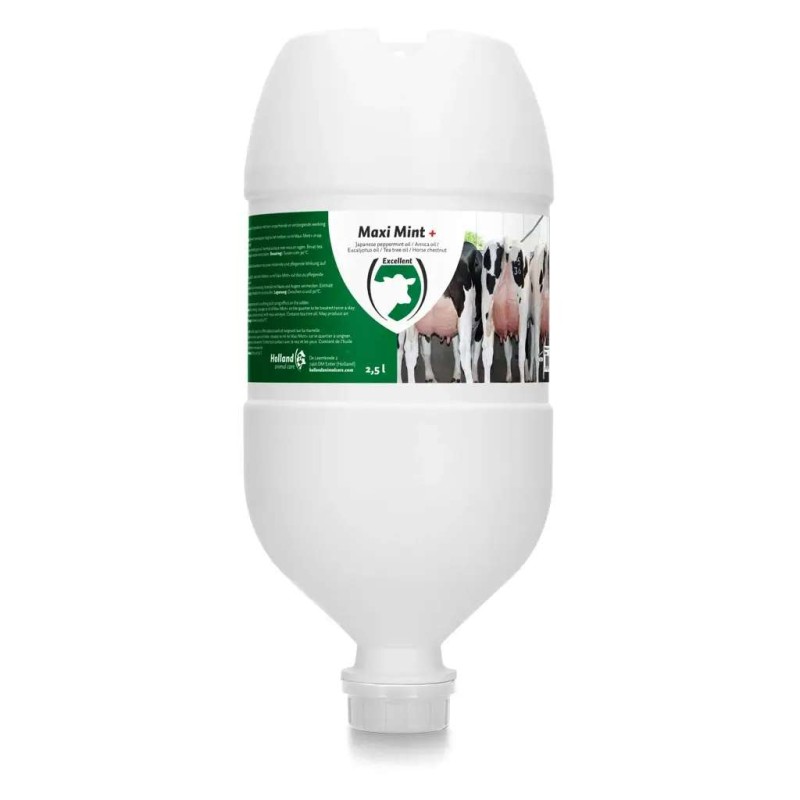 Maxi Mint Plus 2.5 liter