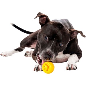 Outward Hound Orbee-Tuff Nooks Geel