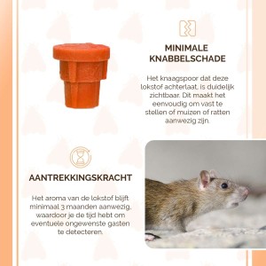 Knock Pest Attractant Vis muizen en ratten