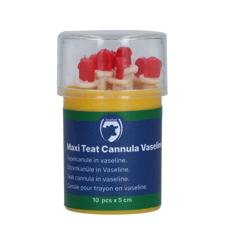Maxi Teat Cannula in vaseline