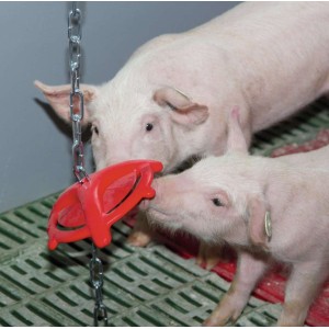 Anti Bijt ring voor varkens met ophangketting