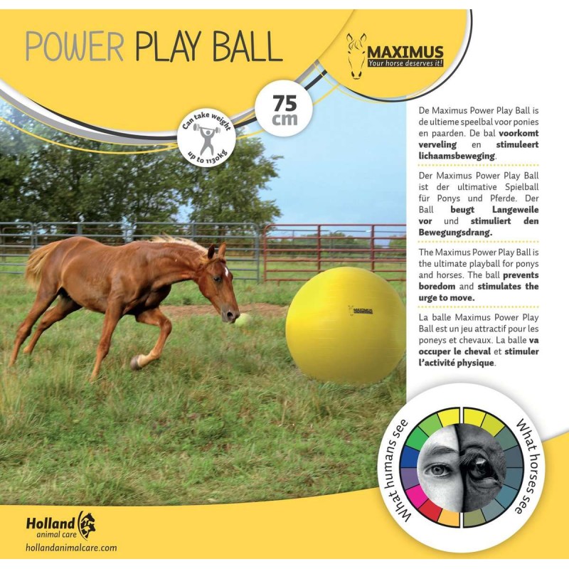 Maximus Power Play Ball voor paarden 75 cm