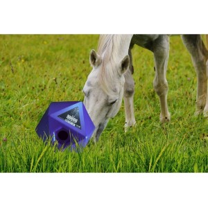 Maximus paardenvoer en traktatie kubus blauw