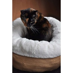 AFP lamswollen kattenmand beige