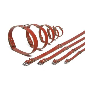 Beeztees hondenhalsband leer rood 62 cm x 25 mm