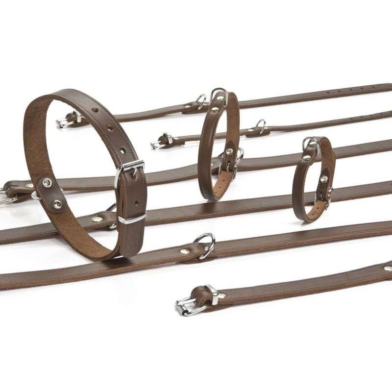 Beeztees hondenhalsband leer bruin 27 cm x 10 mm