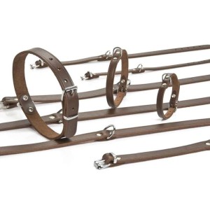 Beeztees hondenhalsband leer bruin 42 cm x 16 mm