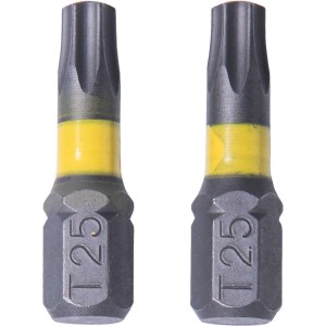 Schroefbit Torx T25 2 stuks