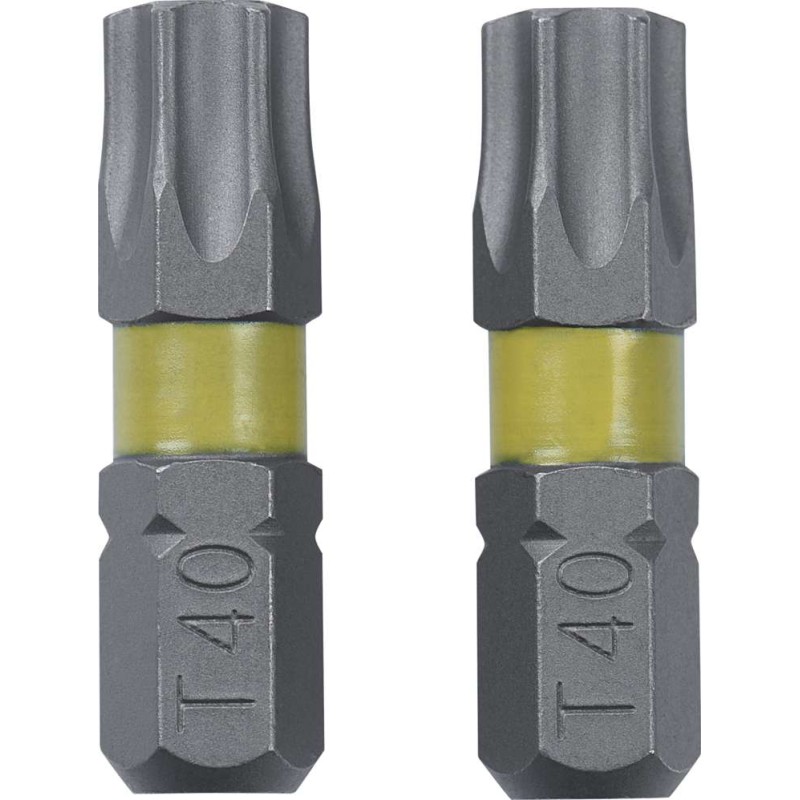 Schroefbit Torx T40 2 stuks