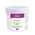K-Spirine bolus