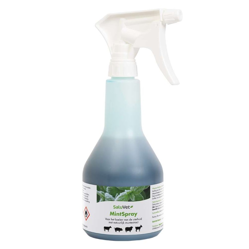 MintSpray 500ml