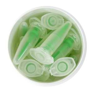 Maxi Teat Canule Silicone
