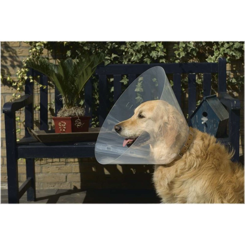 Beeztees hondenkraag plastic 22-25 x 10 cm