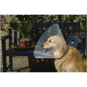 Beeztees hondenkraag plastic 47-57 x 30 cm