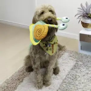 KONG Bendeez Snail L
