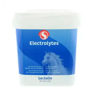 Equivital Electrolyten 1 kg