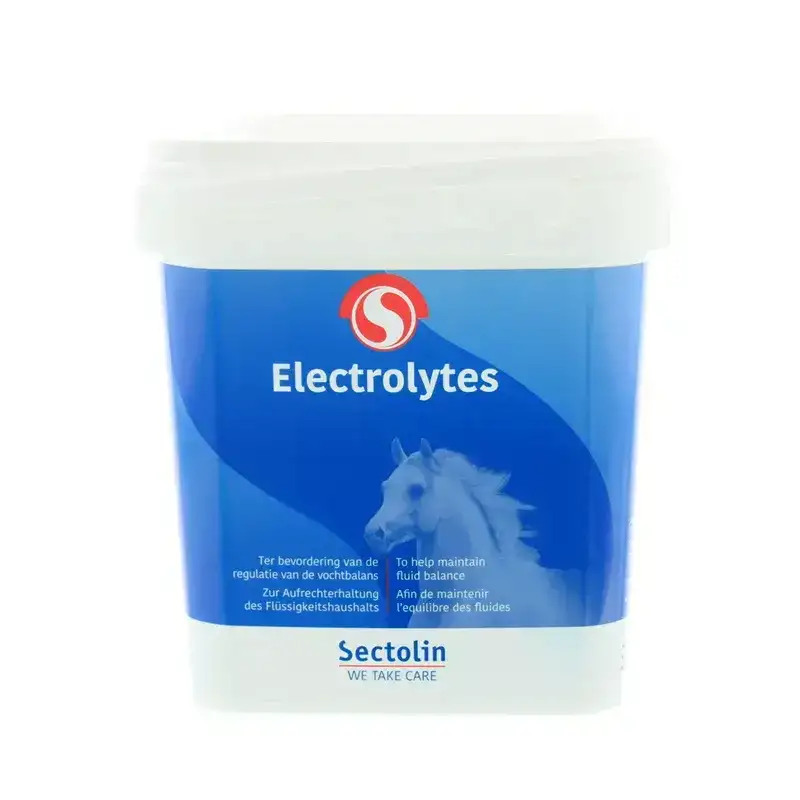 Equivital Electrolyten 1 kg