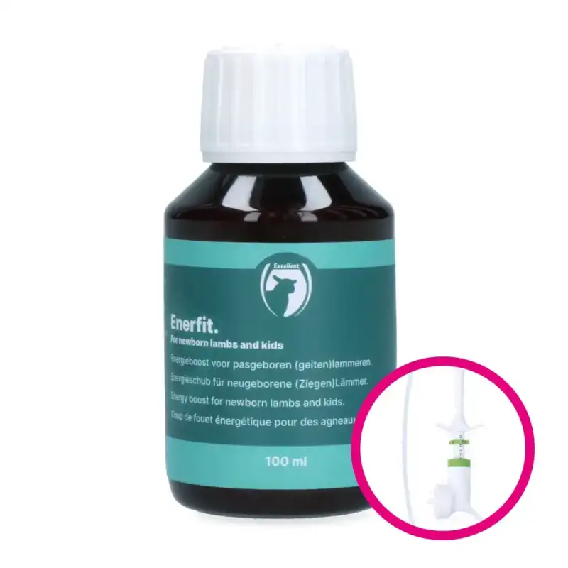 Enerfit snel start lam / geit 100ml Excellent