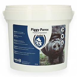 Piggy Parex 700 gram