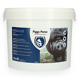 Piggy Parex 3500 gram