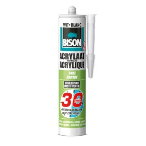 Acrylaatkit 30 Minuten 310 ml wit