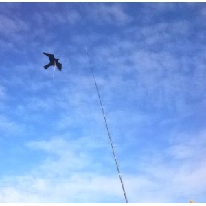 Bird-Scare kite vogelverschrikker 7 m