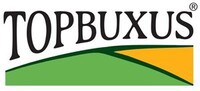 Topbuxus