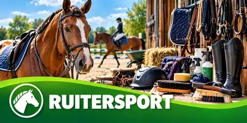 Ruitersport